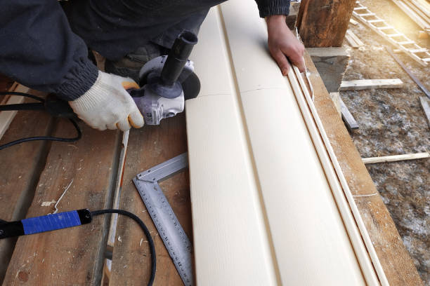 Best Siding Painting and Refinishing  in Moundsville, WV