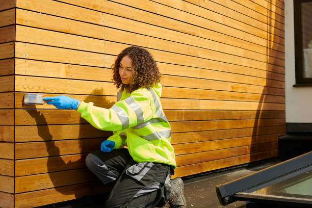Best Fascia and Soffit Installation  in Moundsville, WV